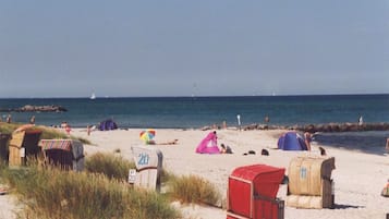 Perto da praia, espreguiçadeiras
