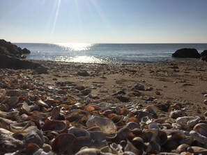 A beach with scattered seashells and rocks. - House 700m from the beach with garden for 4/pers and private parking/ ref : Ang T2 (Angoulins)