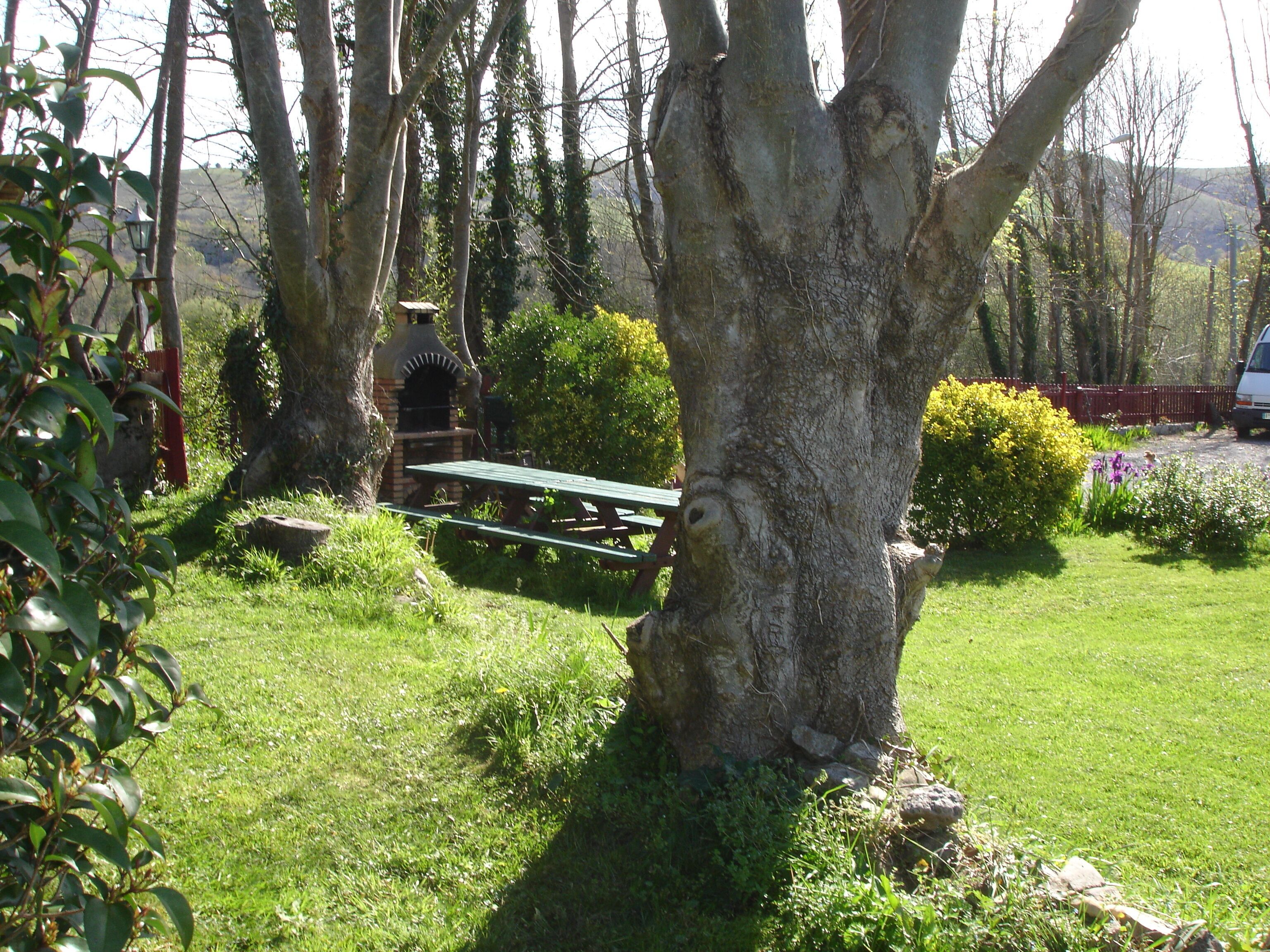 Ein Picknickplatz mit Tisch und Bänken, umgeben von Bäumen und Grünpflanzen.