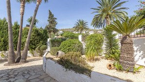 Un jardin aménagé avec des palmiers, un sentier en pierre et un mur blanc.