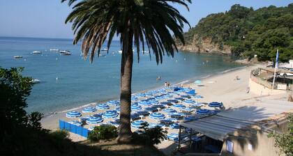 VILLA 50MRAYOL STRAND MEERBLICK WIFI