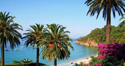 VILLA 50 M PLAGE DU RAYOL VUE MER WIFI