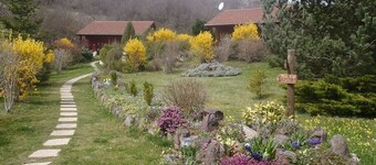 Les chalets de La vigne grande, LE CHAMAROUXLocated in a peaceful green setting