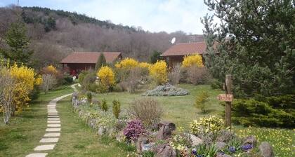 Les chalets de La vigne grande, LE CHAMAROUXAu calme dans un écrin de verdure