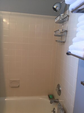 Hair dryer, towels, soap, toilet paper - Comfy & Convenient Suburban Oasis (Westfield)