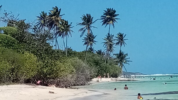 Une plage avec une eau turquoise et limpide, des palmiers et des gens qui se baignent.
