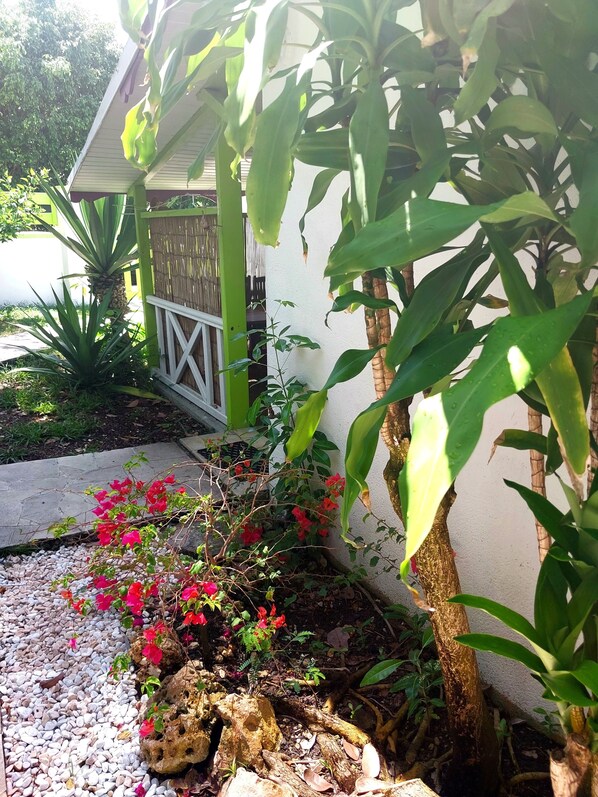 Exterior detail - LOGISREV 💎 LE PAPAYE-- 2 bedroom gite with swimming pool (SAINTE-ANNE)