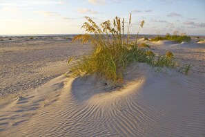 In Strandnähe, Liegestühle, Strandtücher