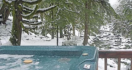 Isolement total, 50 acres privées, bord de la riviÚre 2000 pieds, cabine de montagne, bain à remous