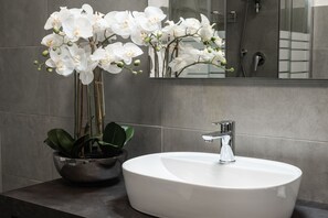 Douche, articles de toilette gratuits, sèche-cheveux, bidet
