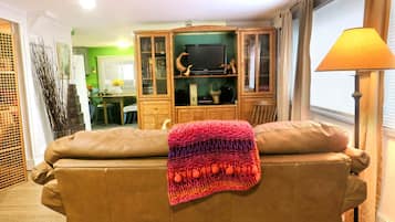 Smart-tv, eldstad, dvd-spelare och ett musikbibliotek