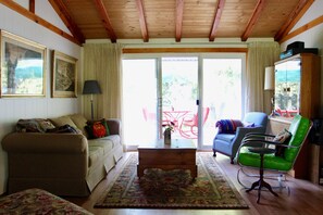 Smart TV, fireplace, DVD player, music library