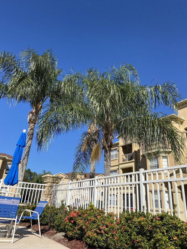 Property grounds - Beautiful 3 Bed 2 Bath Luxury Poolside Condo  (Davenport)