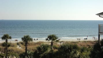 Accommodatie ligt op het strand
