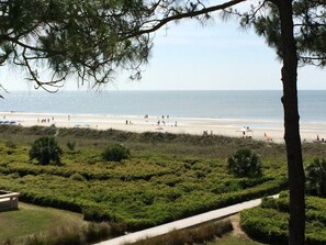 Une plage avec un sentier, des arbres et une vue sur l’océan.