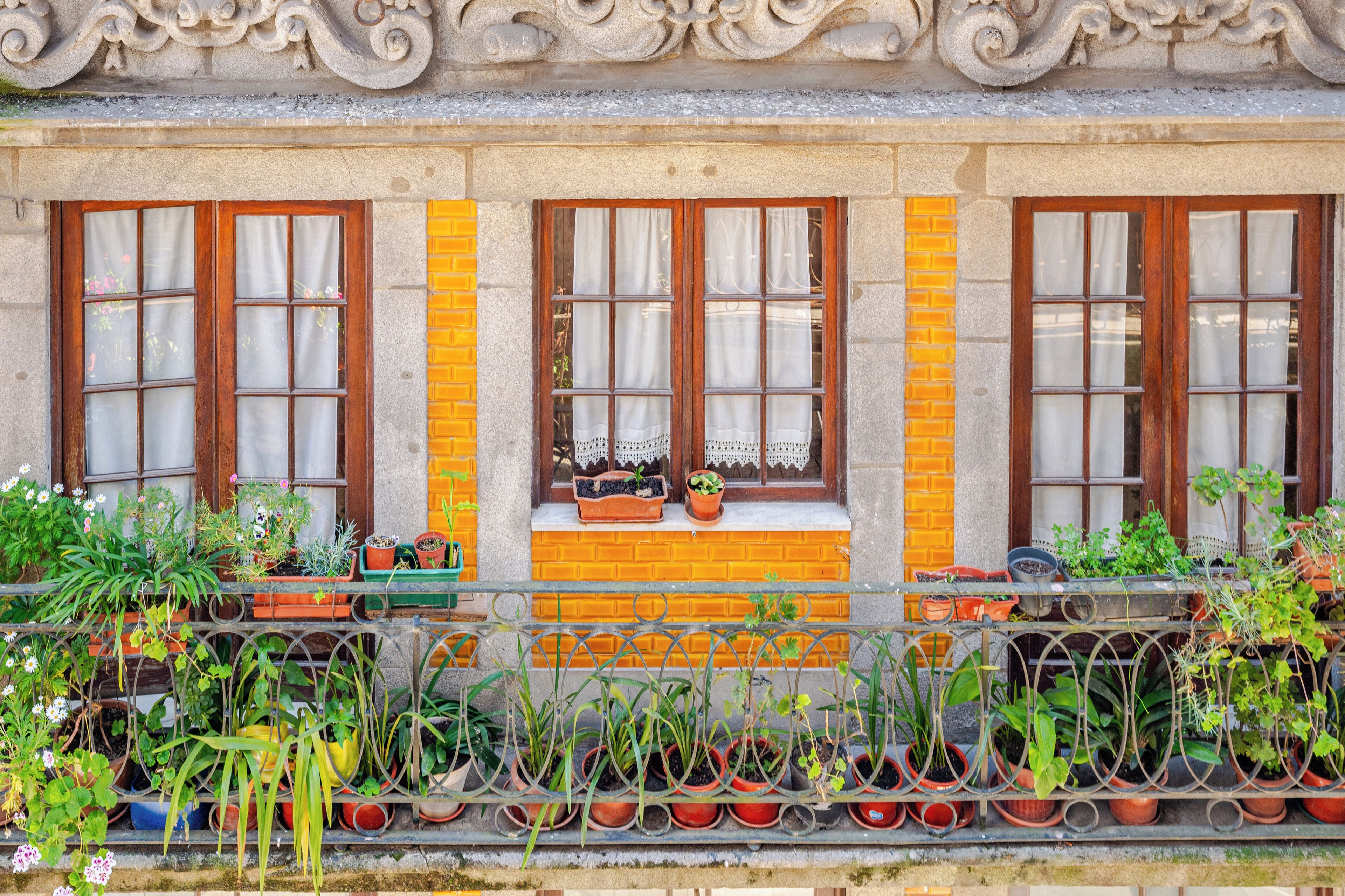 Design Studio (5) | View from room