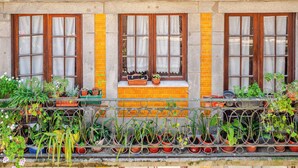A building facade with multiple windows, a balcony with potted plants, and a brick wall. - Belomonte Apartments (Porto)