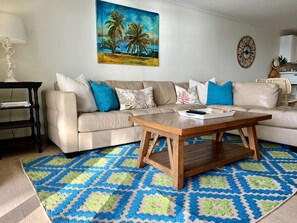 Flat-screen TV, DVD player, video library