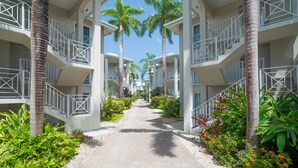 A corridor with a central pathway flanked by palm trees and plants, leading to a multi-story building with balconies. - 3 Bedroom/2 Bath Oceanfront Condo (Grand Cayman)