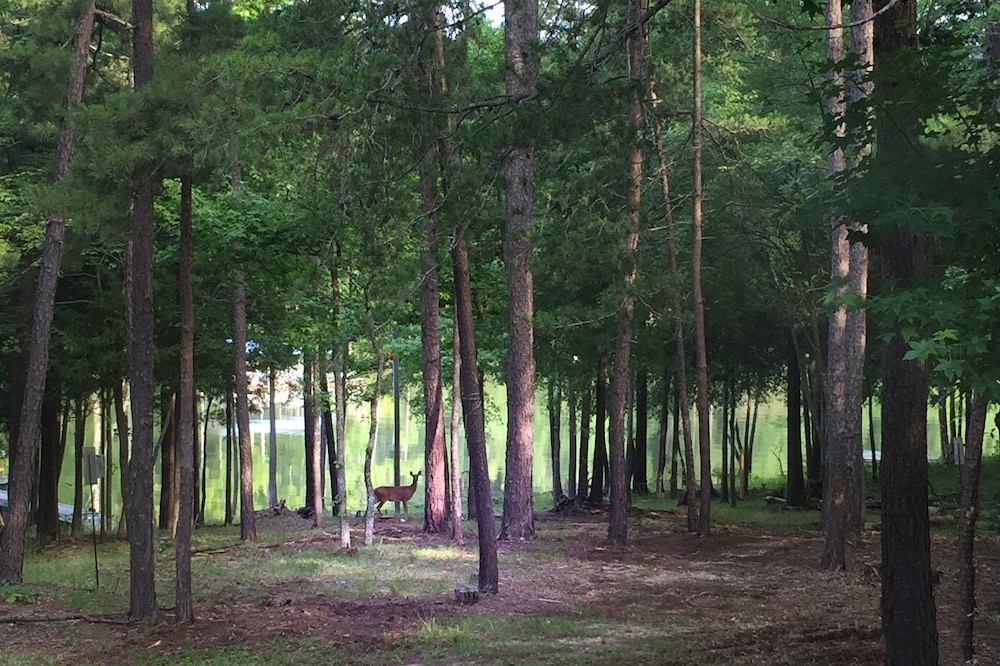 Kerr Lake Log Cabin On Calm Cove With Gentle Slope To Water, Nearby Sandy Beach