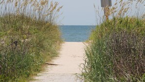 Un sentiero sabbioso che conduce al mare, costeggiato da erba alta.