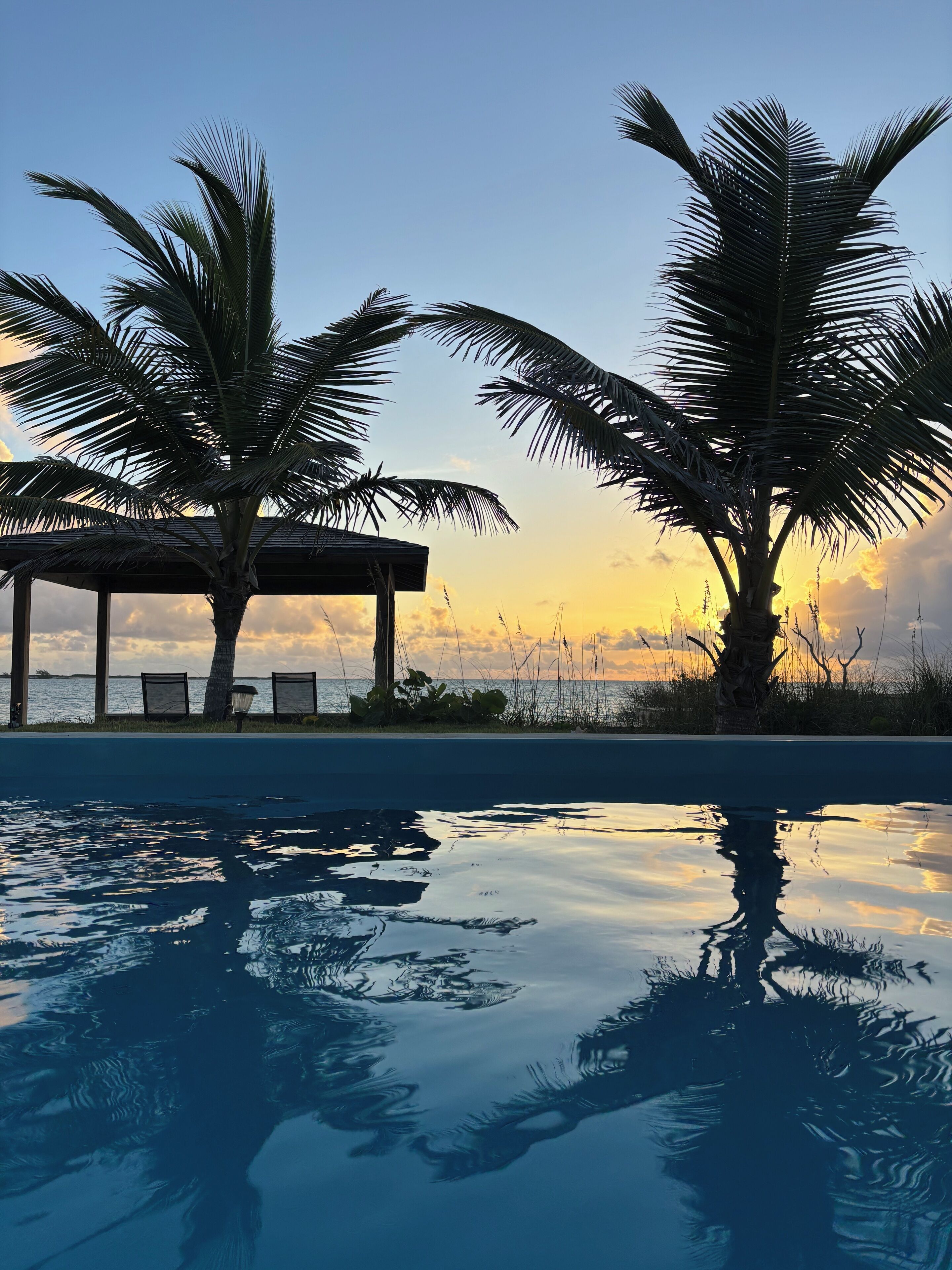 A swimming pool with reflections of palm trees and a sunset.