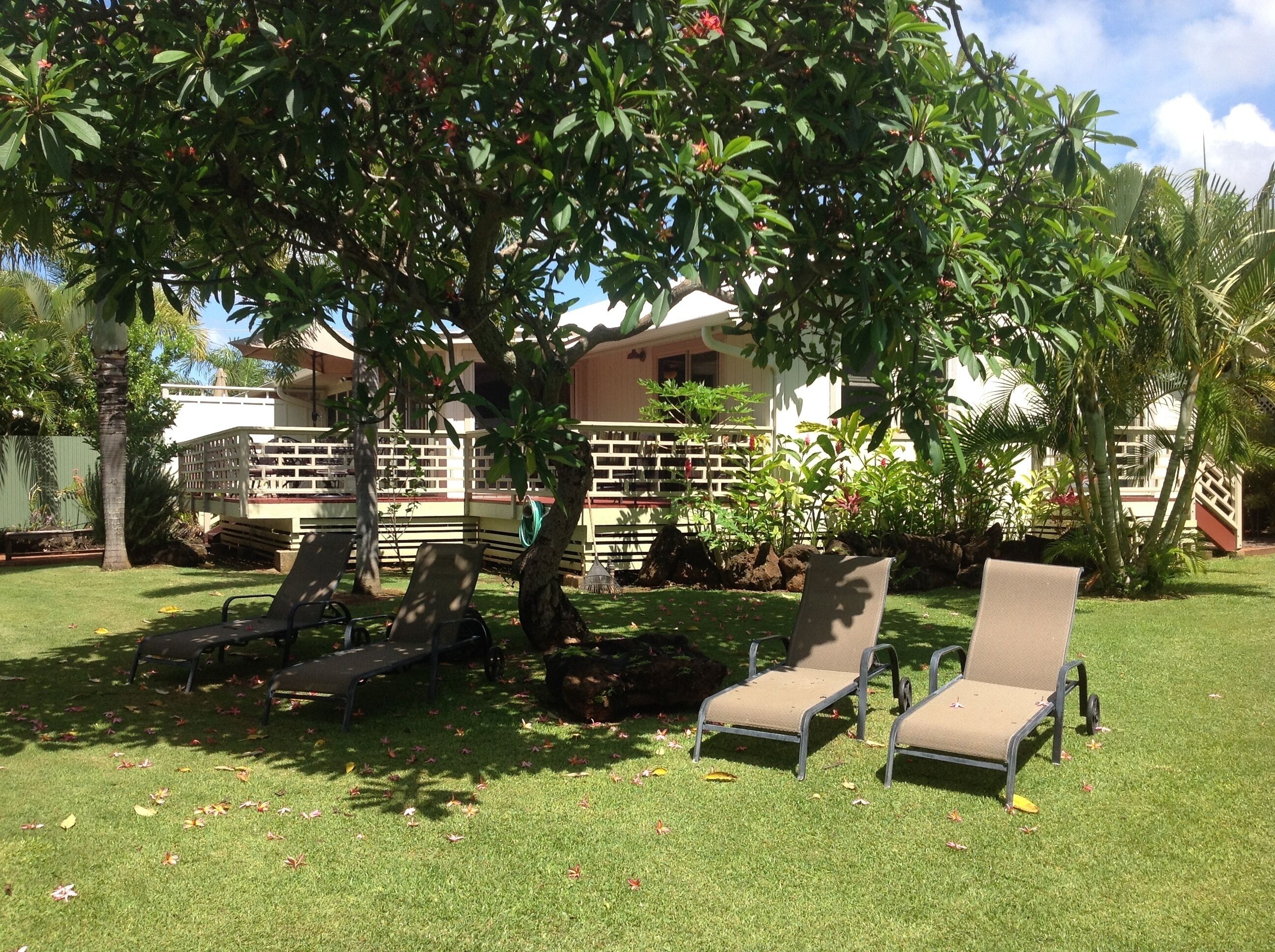 POIPU Beach Plantation , 4br with POOL on 1/2 acre,