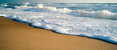 On the beach, sun-loungers