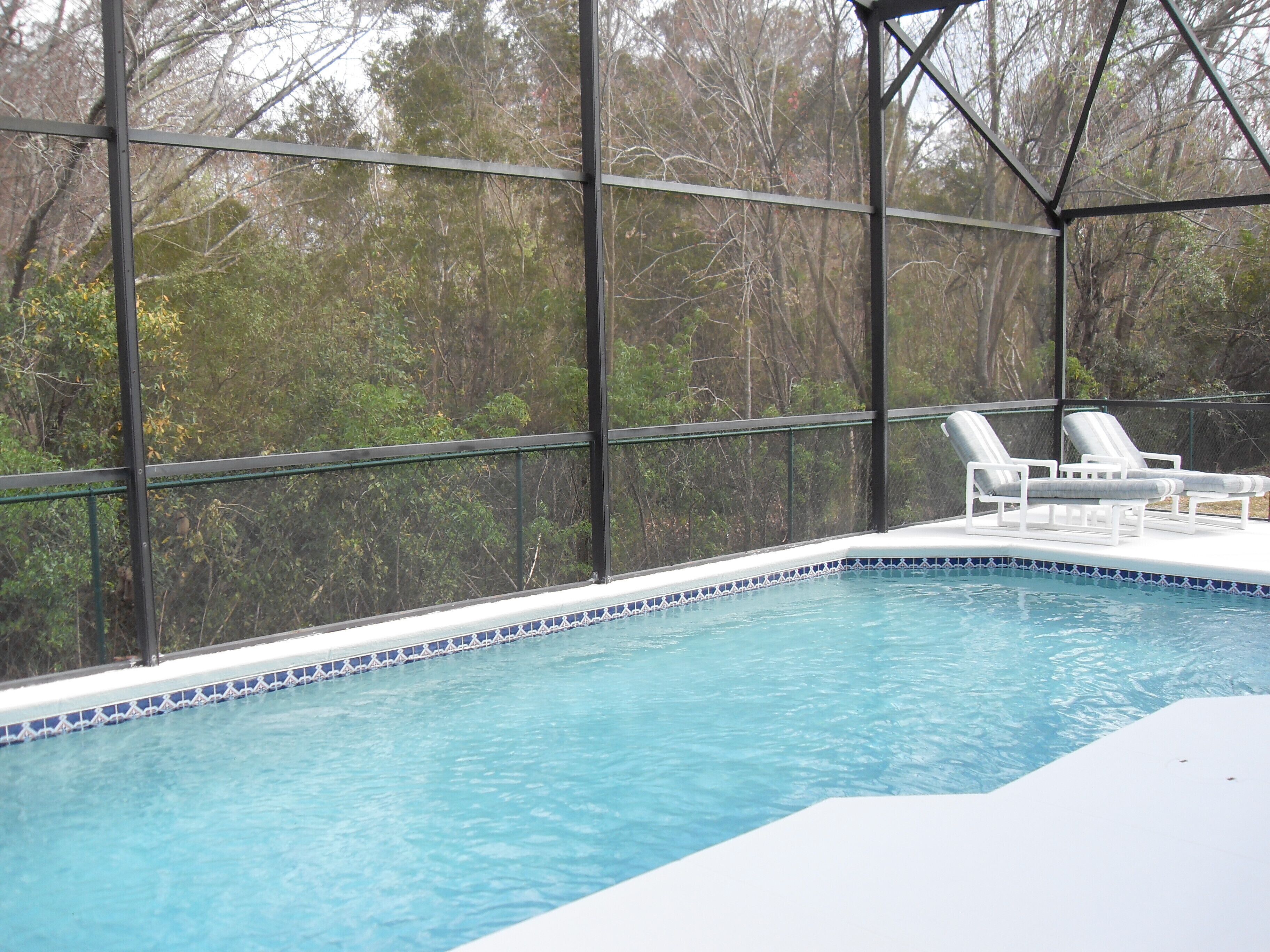 Outdoor pool, a heated pool, pool loungers