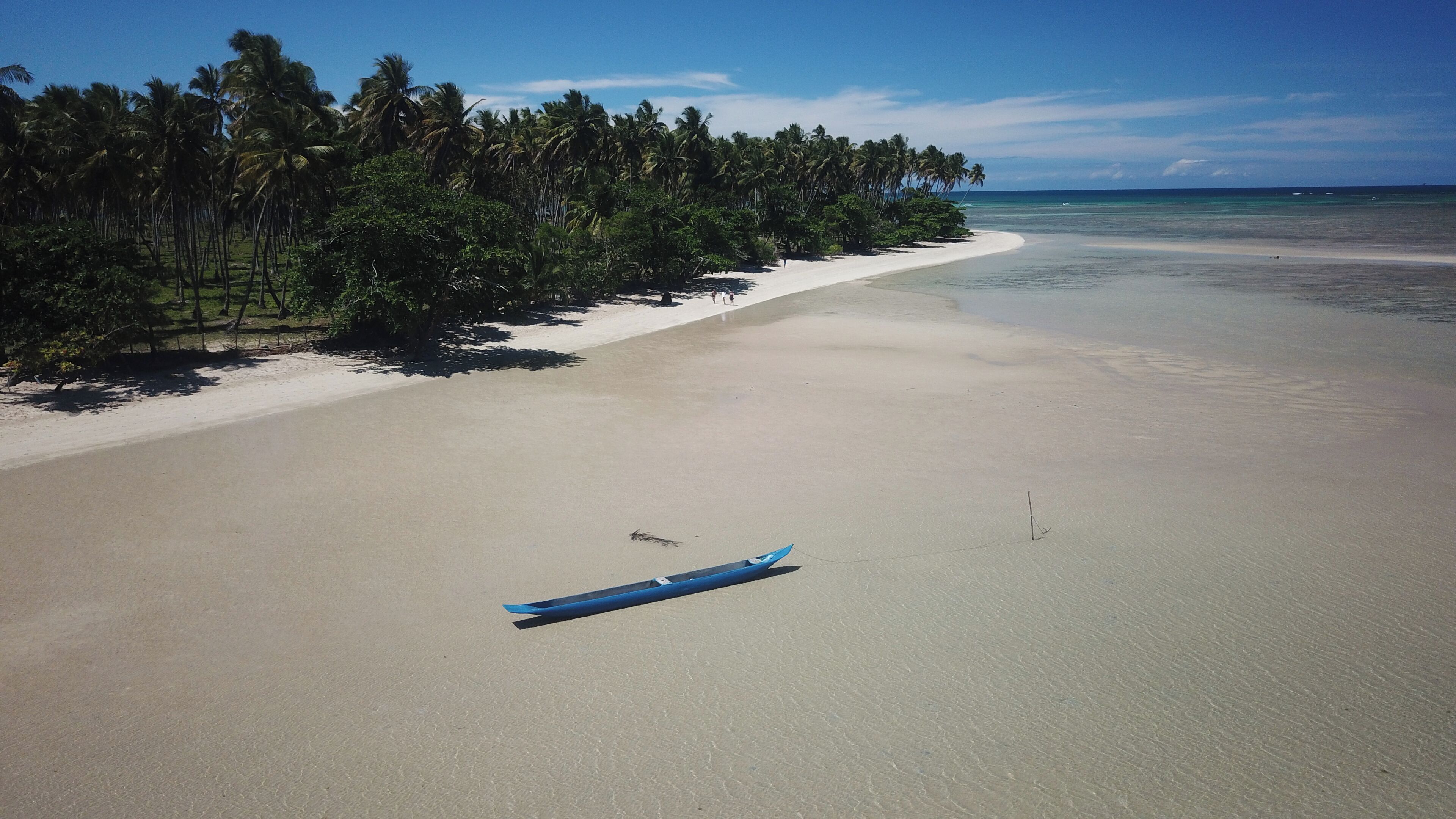 Una playa con un bote en la arena, palmeras y agua azul cristalina.