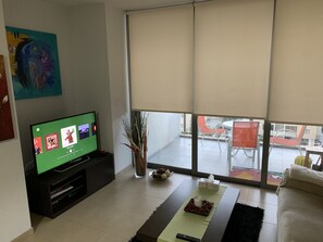Televisión 
