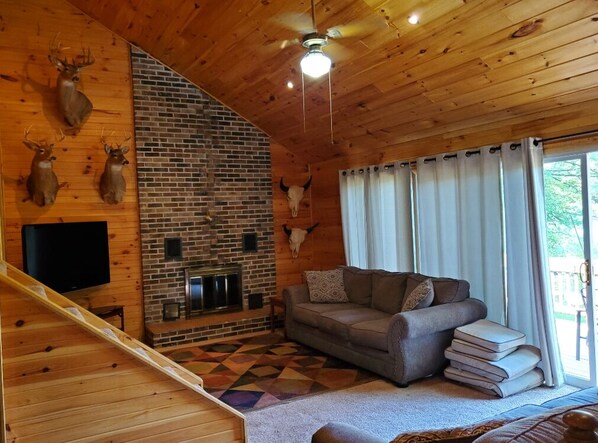 TV, fireplace, DVD player