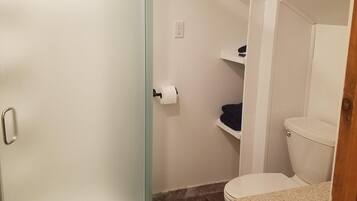 Combined shower/tub, hair dryer, towels, soap