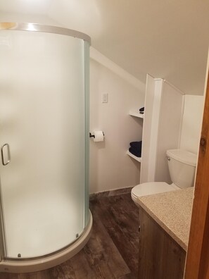Combined shower/tub, hair dryer, towels, soap