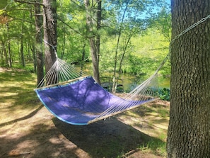 A hammock tied between trees in a forested area with a pond in the background.