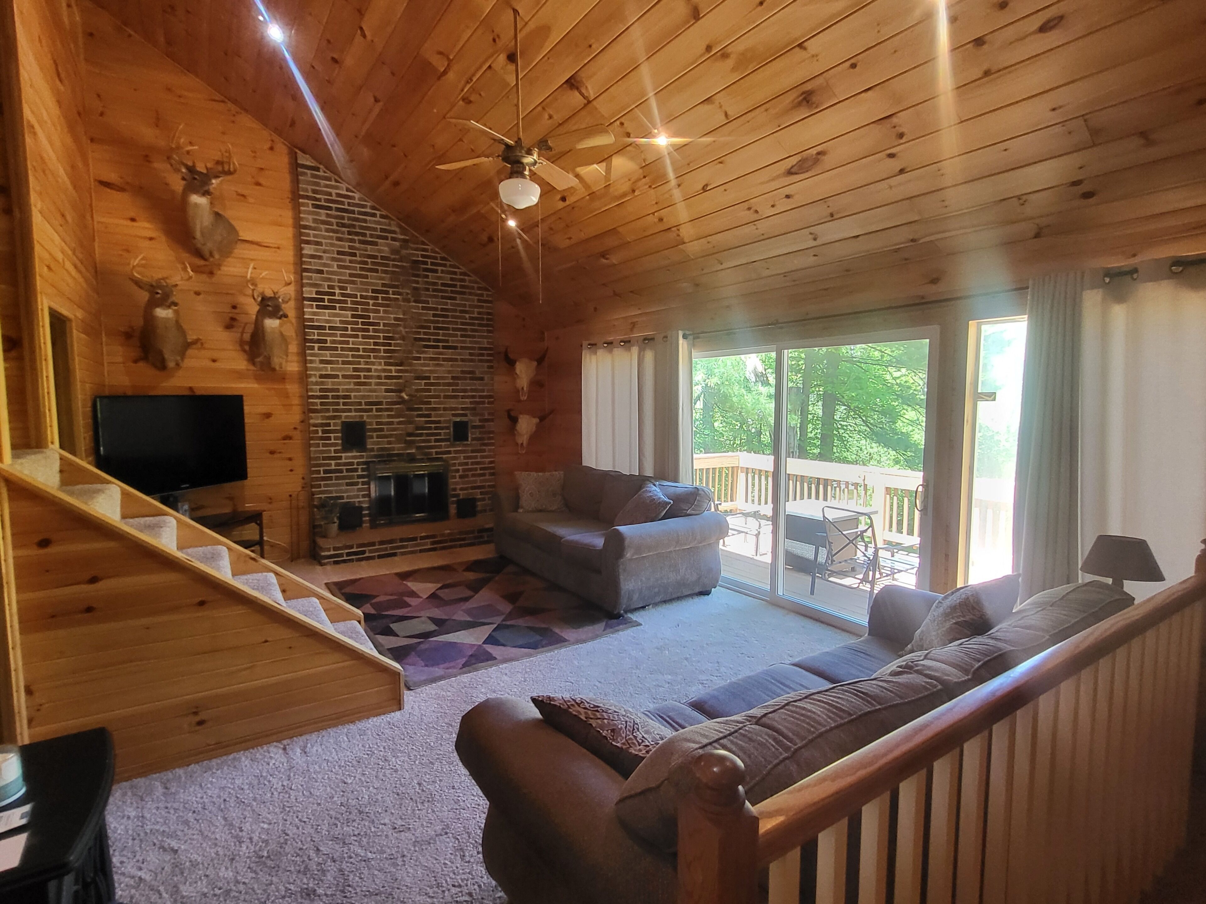 TV, fireplace, DVD player