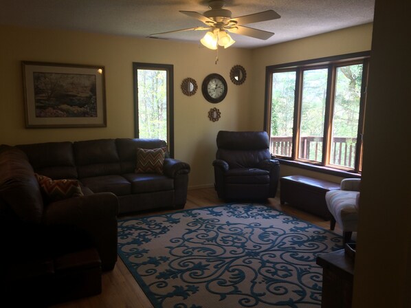 TV, fireplace, video games, DVD player