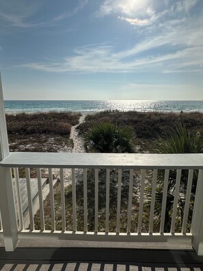 Property grounds - OCEANFRONT, STEPS FROM SAND, STUNNING VIEWS, 2-STORY COMPLEX, 1ST FLOOR, PETS! (Panama City Beach)