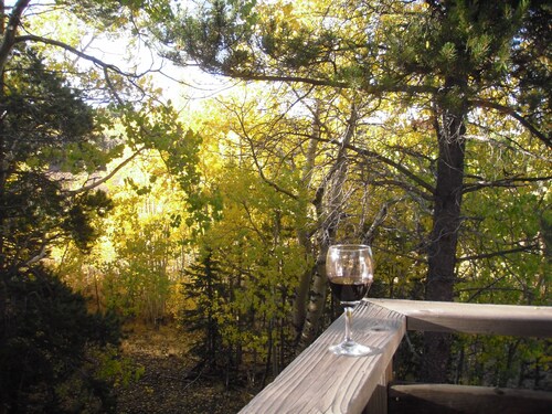 Aspens! 2 ACRES AMAZING LOG CABIN, HOT TUB FIREPLACE VIEWS PRIVATE