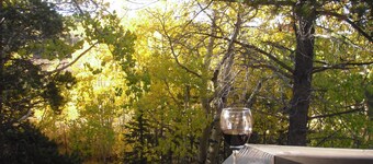 Verbazingwekkende blokhut, Views, Hot Tub, Open haard, Decks, prive!