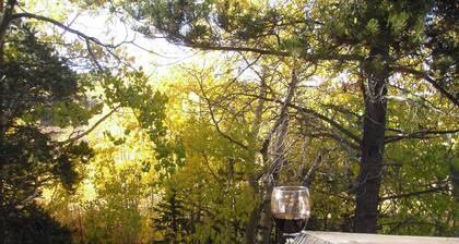 Erstaunlich Blockhaus, Ansichten, Whirlpool, Kamin, Decks, privat!