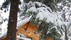 A wooden cabin with a balcony and a staircase leading to the upper level.