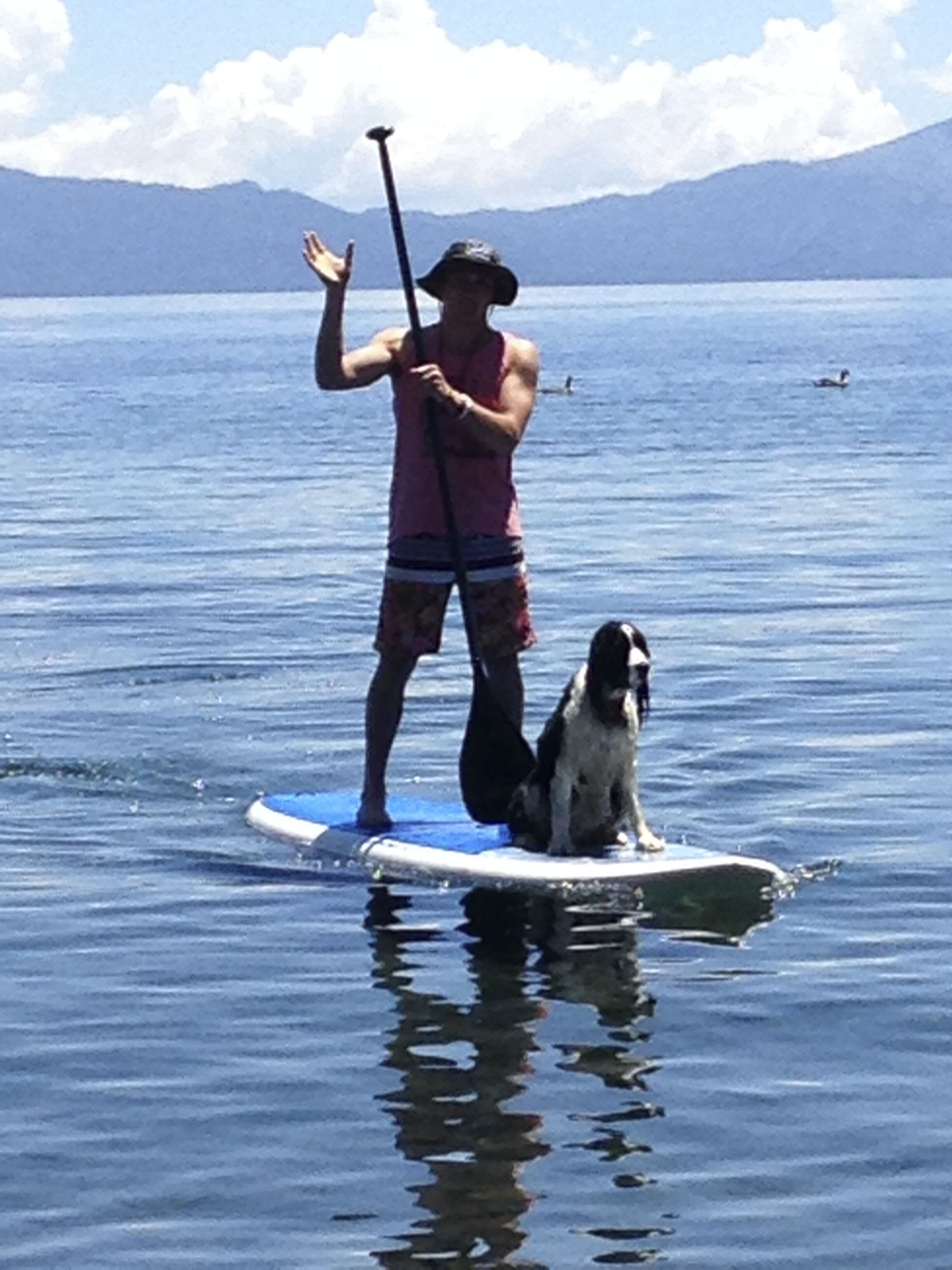 A person standing on a paddleboard with a dog, in a body of water with mountains in the background.