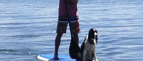 A person standing on a paddleboard with a dog, in a body of water with mountains in the background.