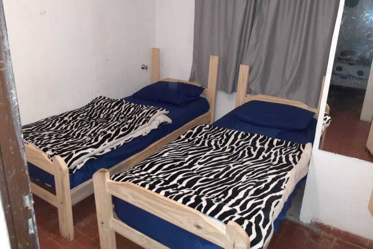Dos camas individuales de madera con ropa de cama estampada de cebra, una cortina gris y una pared blanca.