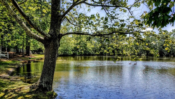 A serene lake surrounded by lush greenery and trees. - Stockbridge Lakes Bed & Breakfast (Stockbridge)