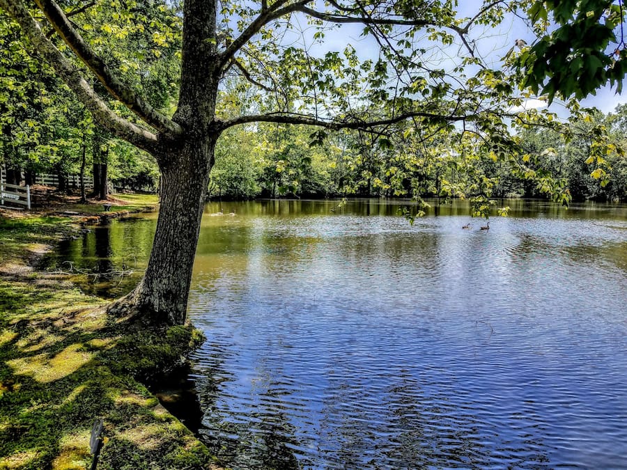 Apartment, Berbilang Katil, Accessible (Southern Retreat) | Pemandangan tasik