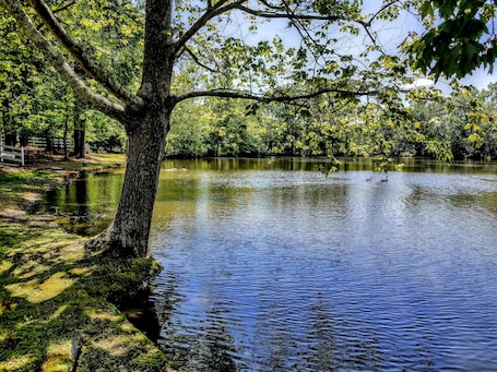 Vista al lago
