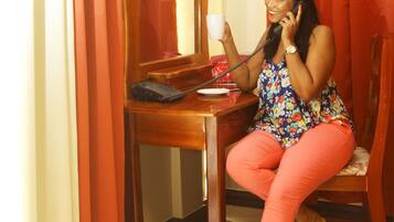 Deluxe Room, 1 Queen Bed, City View | Individually furnished, blackout drapes, rollaway beds, free WiFi