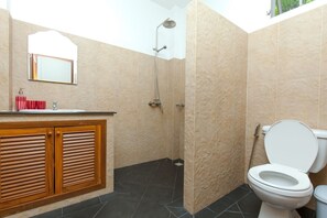 Hair dryer, towels, shampoo, toilet paper